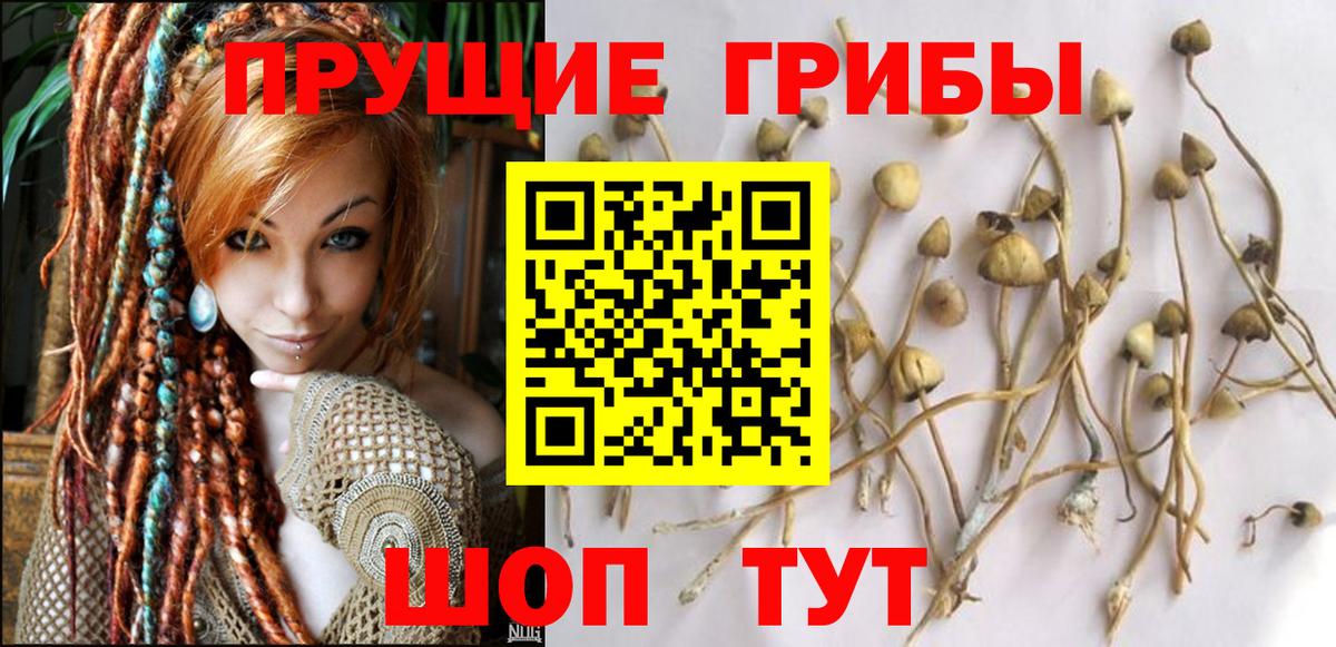 купить закладку  Галлюциногенные грибы прущие грибы  Вход с VPN  Соликамск 