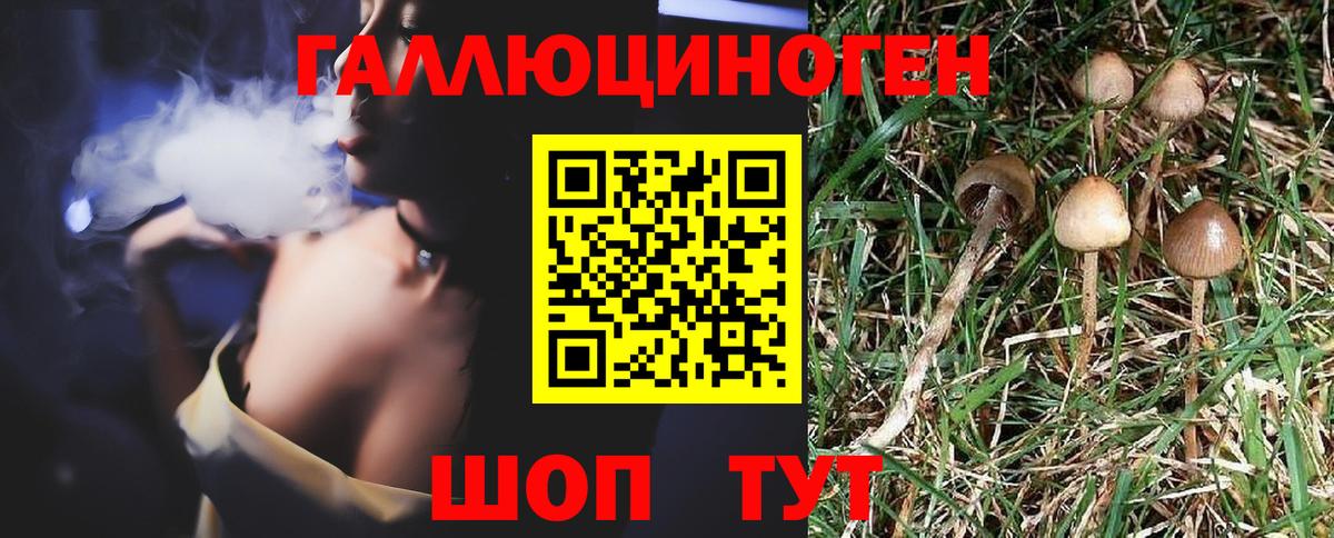 Псилоцибиновые грибы Psilocybine cubensis Соликамск